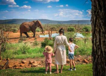 5 reasons to take your children on a family safari in Africa
