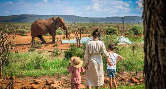 5 reasons to take your children on a family safari in Africa