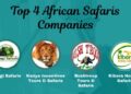 Small Group African Safaris