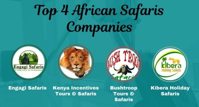 Small Group African Safaris