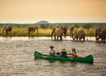 Africa’s Best Eco Destinations | Sustainable Travel in Africa