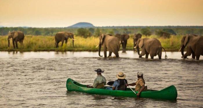 Africa’s Best Eco Destinations | Sustainable Travel in Africa